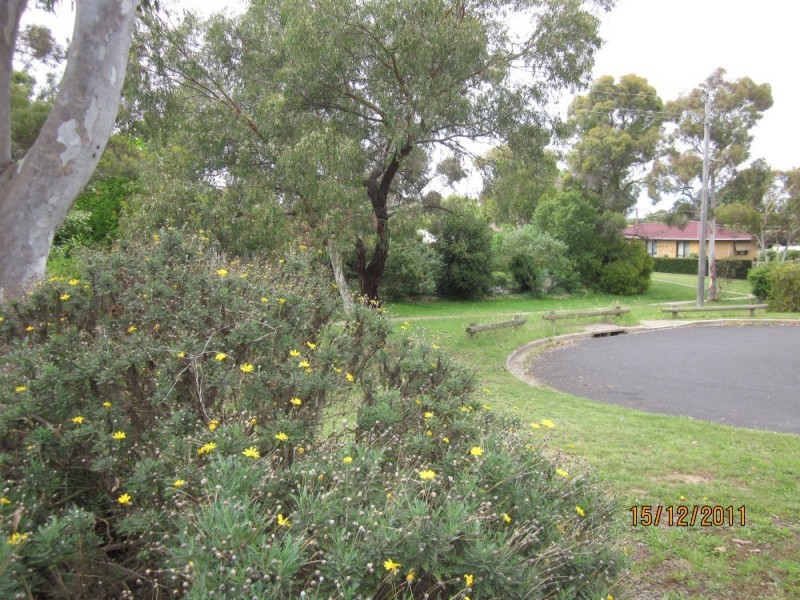 17 Hinchcliffe Place, Spence ACT 2615
