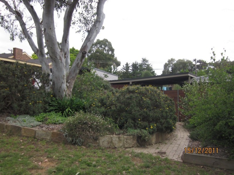 17 Hinchcliffe Place, Spence ACT 2615