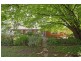 19 Etheridge Street, Page ACT 2614