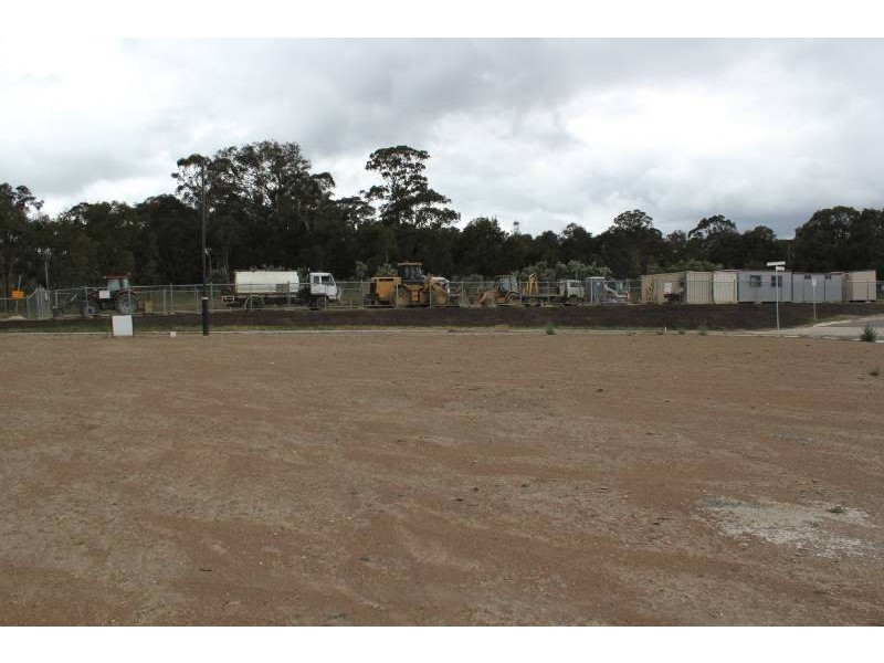14 Buchan Crescent, Forde ACT 2914