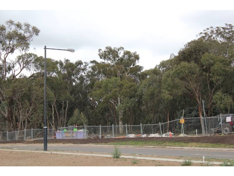14 Buchan Crescent, Forde ACT 2914