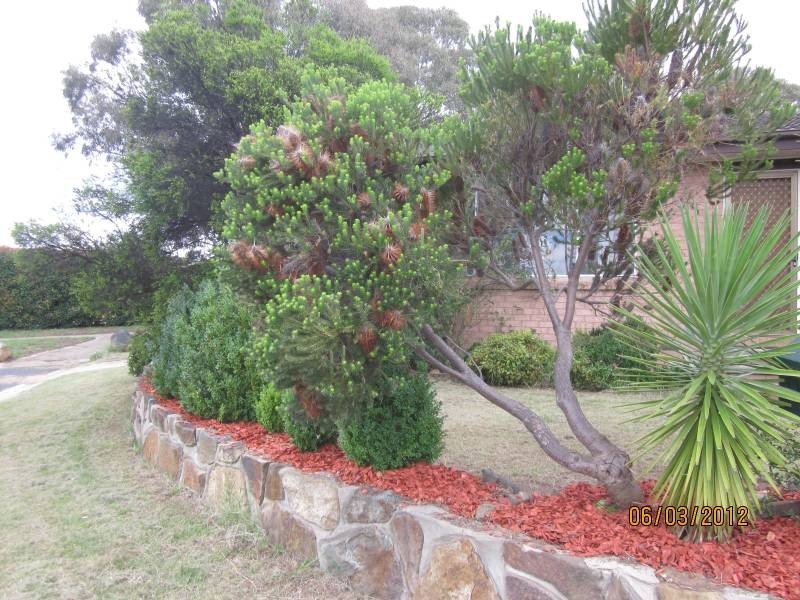 10 Forsyth Place, Charnwood ACT 2615