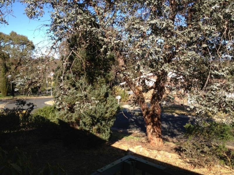 34 Harper Street, Macgregor ACT 2615