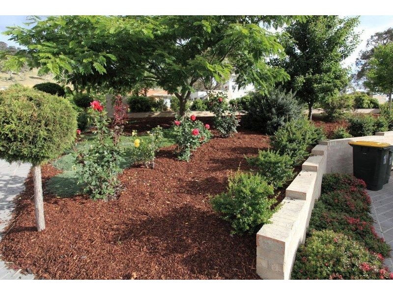 81 Forsythe Street, Banks ACT 2906