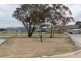 19 Spillett Street, Forde ACT 2914