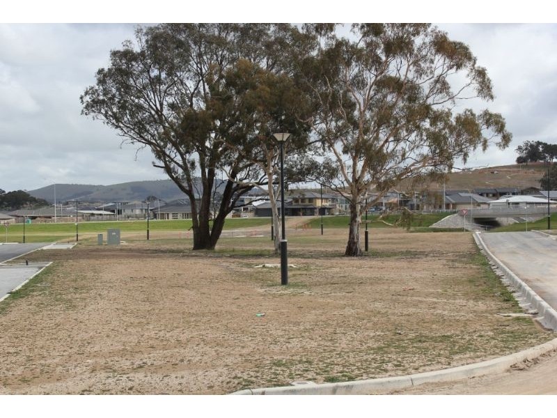 19 Spillett Street, Forde ACT 2914
