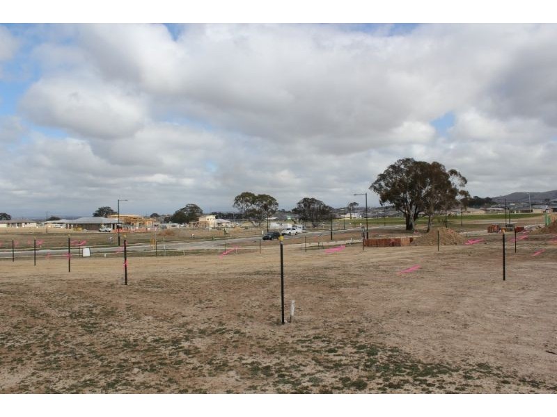 19 Spillett Street, Forde ACT 2914