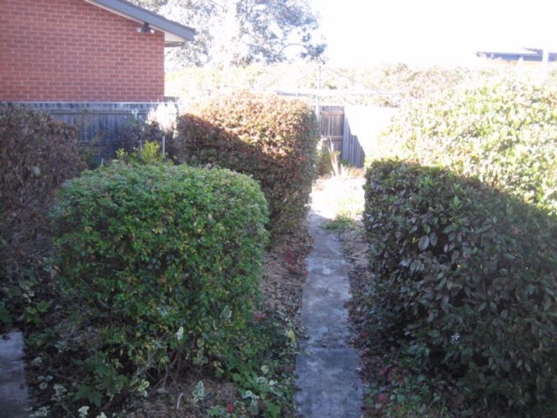 8 Scobie Place, Holt ACT 2615