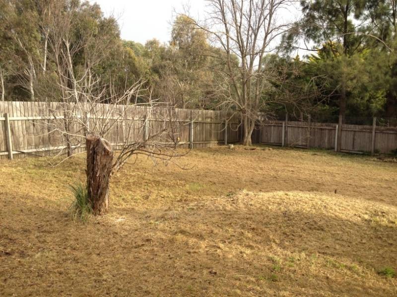 25 Ferguson Place, Flynn ACT 2615