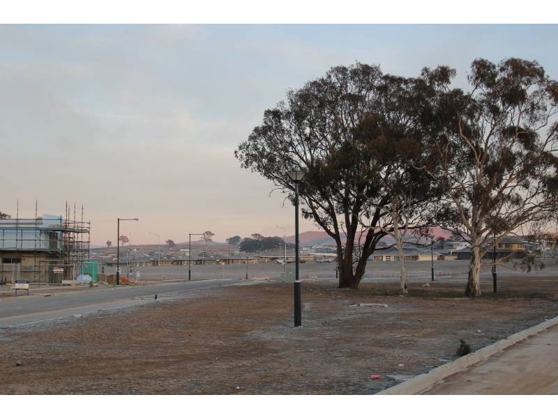 13 Callus Street, Forde ACT 2914