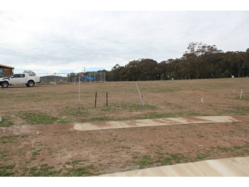 13 Callus Street, Forde ACT 2914