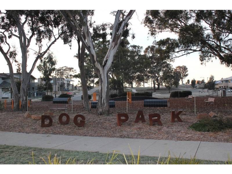 13 Callus Street, Forde ACT 2914