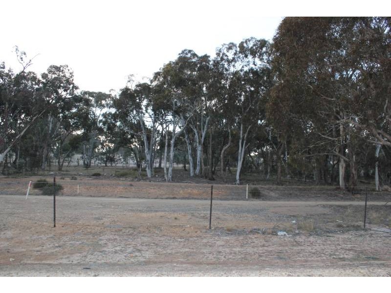 89 Blizzard Circuit, Forde ACT 2914