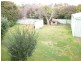 37 Folingsby Street, Weston ACT 2611