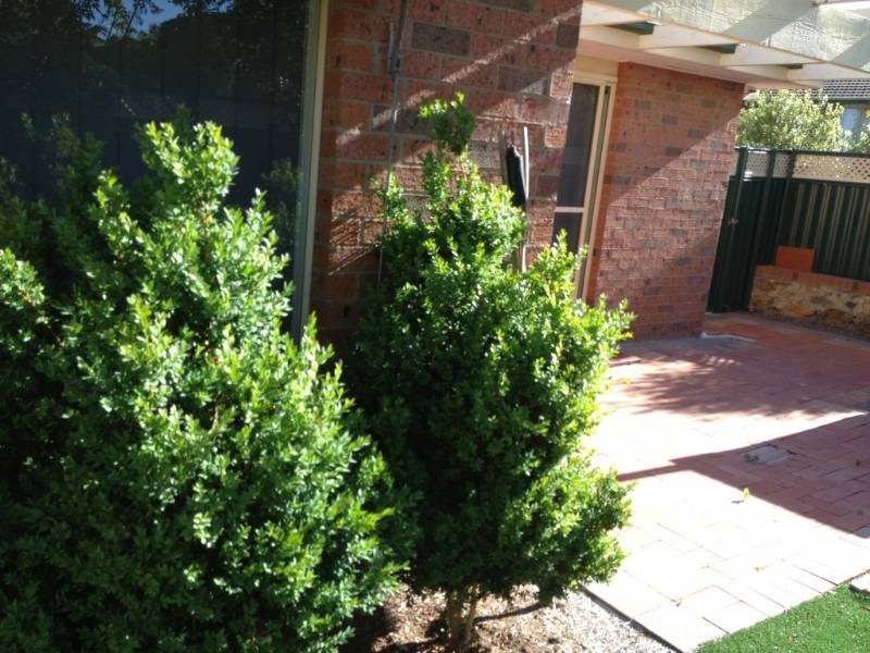 23 Barunga Street, Ngunnawal ACT 2913