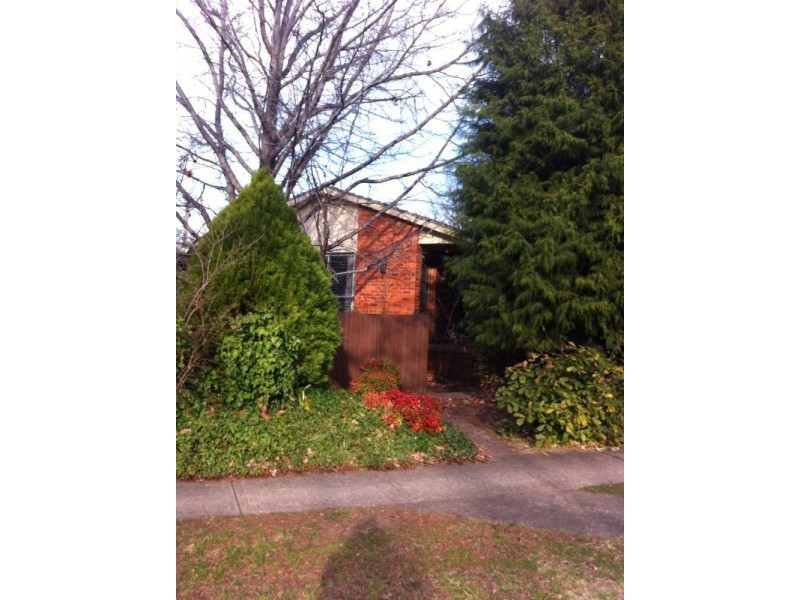 102 Cowper Street, Dickson ACT 2602