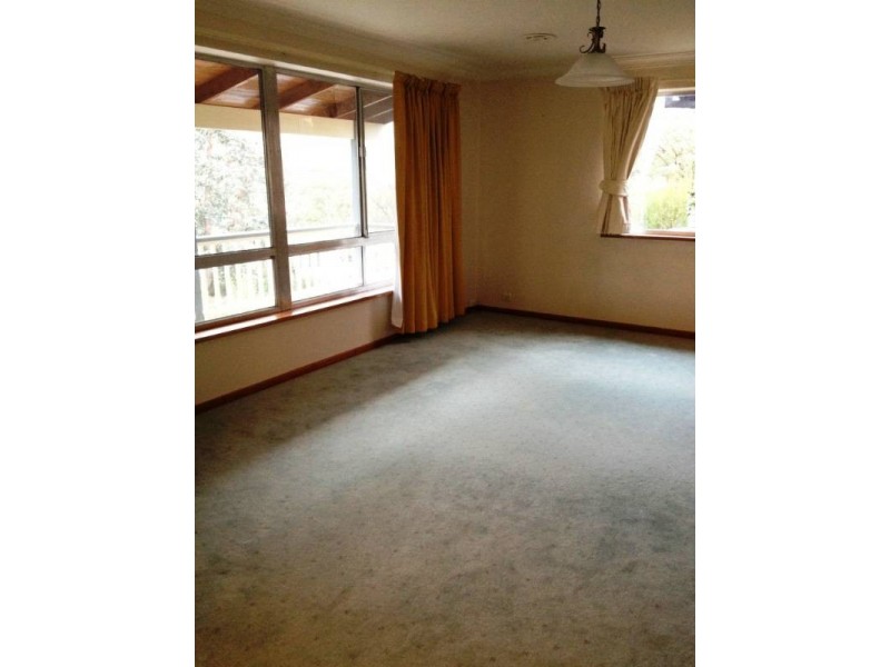 19 Bunny Street, Weston ACT 2611
