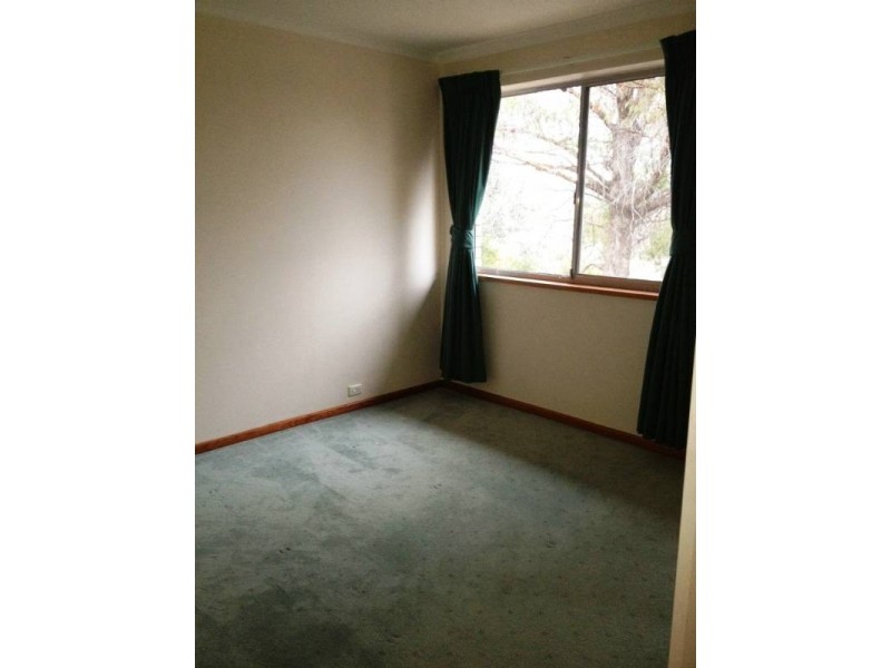19 Bunny Street, Weston ACT 2611