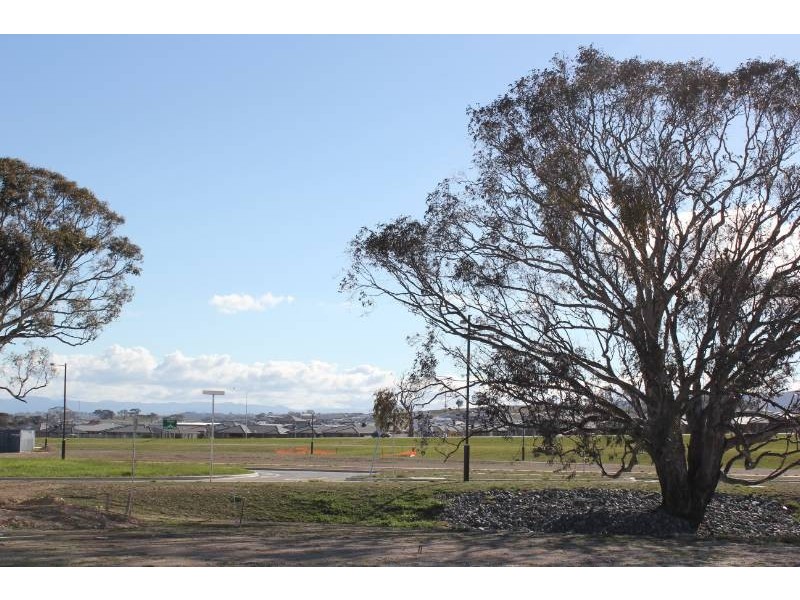 98 Blizzard Circuit, Forde ACT 2914