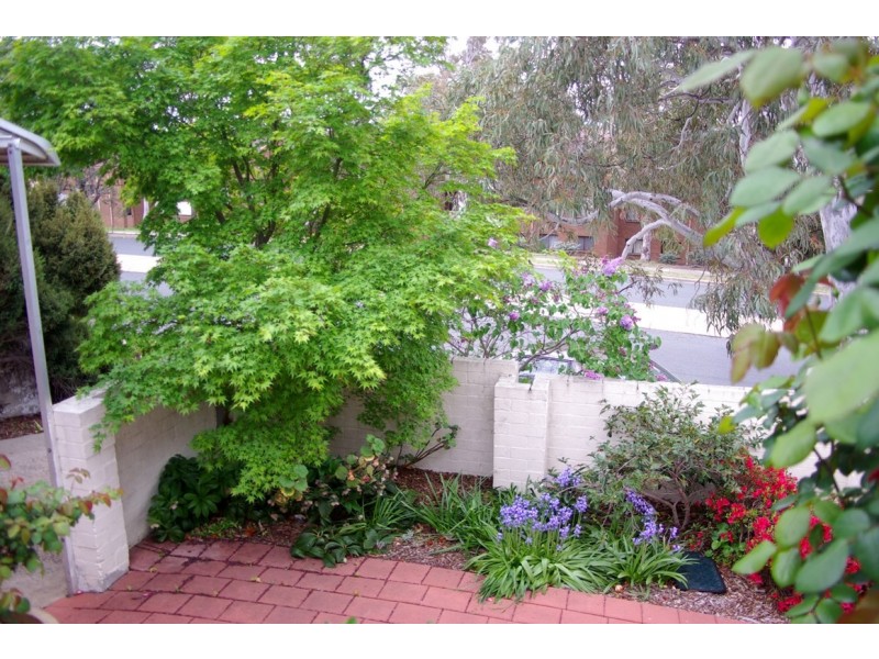 156 Murranji Street, Hawker ACT 2614