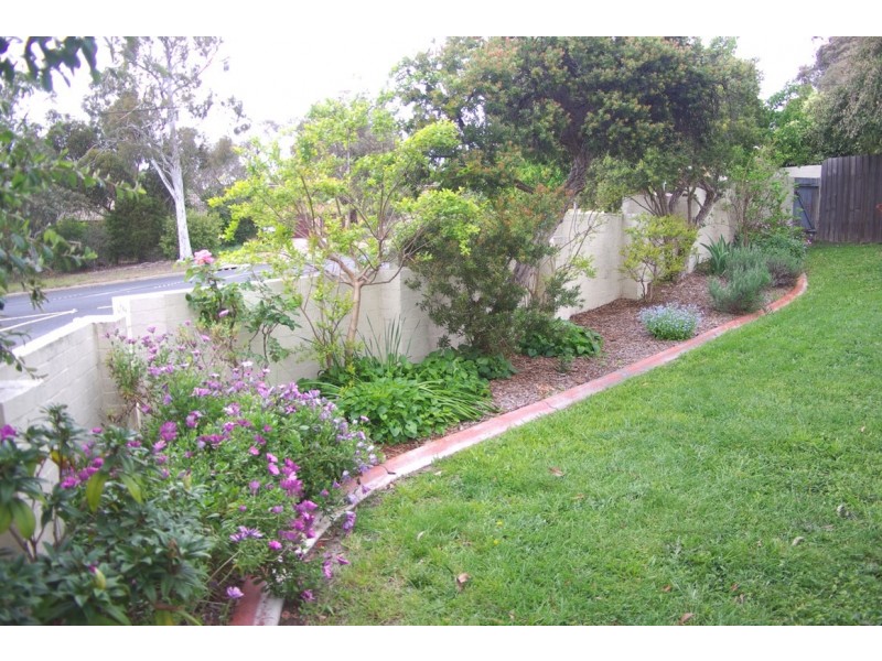 156 Murranji Street, Hawker ACT 2614