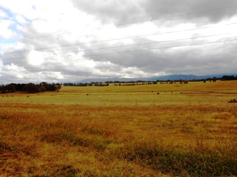 90a Hollows Circuit, Macgregor ACT 2615