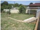 13 Fornax Street, Giralang ACT 2617