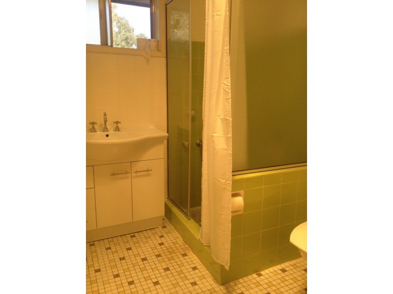 11a Newberry Street, Page ACT 2614
