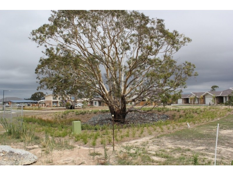 6 Spillett Street, Forde ACT 2914