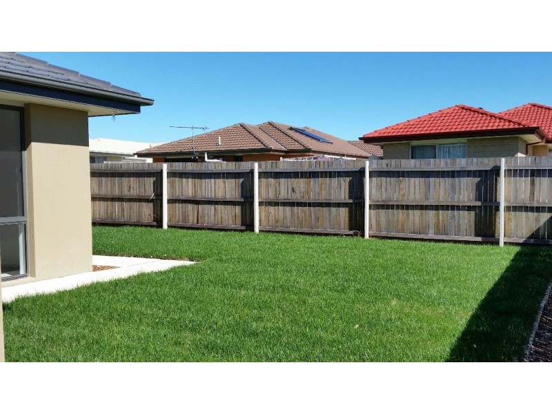 131 Macfarlane Burnet Avenue, Macgregor ACT 2615
