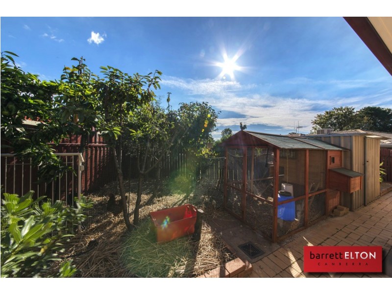 19 Bushby Place, Holt ACT 2615