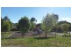 35 Anne Clarke Avenue, Nicholls ACT 2913