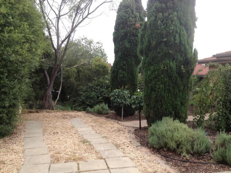 54 Britten Jones Drive, Holt ACT 2615
