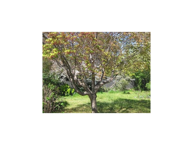2 Curr Place, Kambah ACT 2902