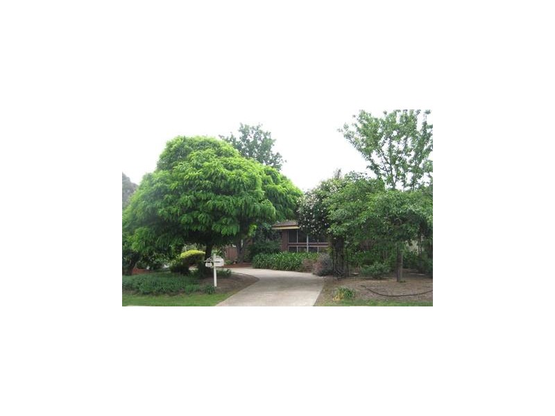 11 Eaves Street, Holt ACT 2615