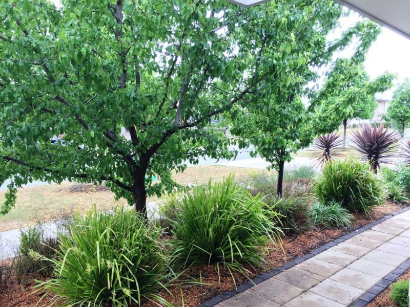 14 Durong Street, Crace ACT 2911