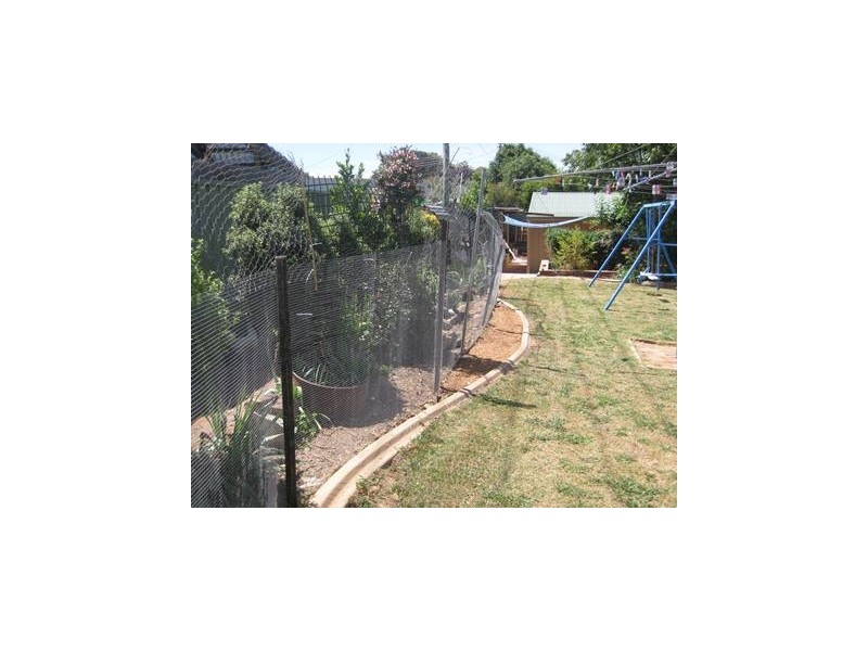 57 Norriss Street, Chisholm ACT 2905