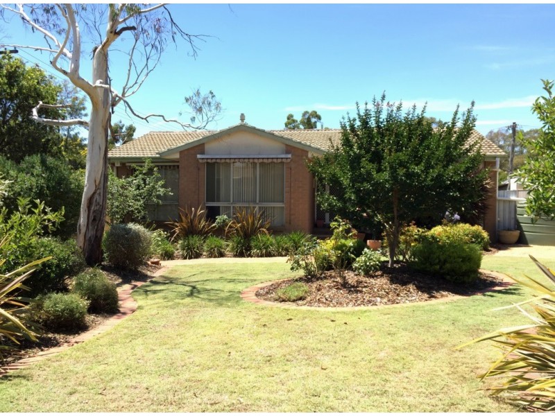 3 Dallachy Street, Page ACT 2614