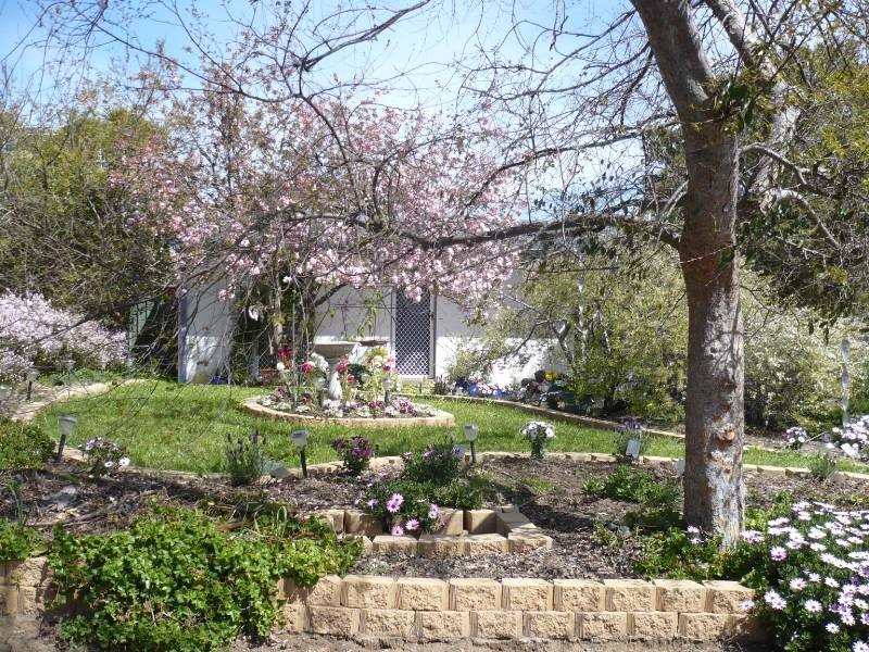 6 Cooney Court, Charnwood ACT 2615