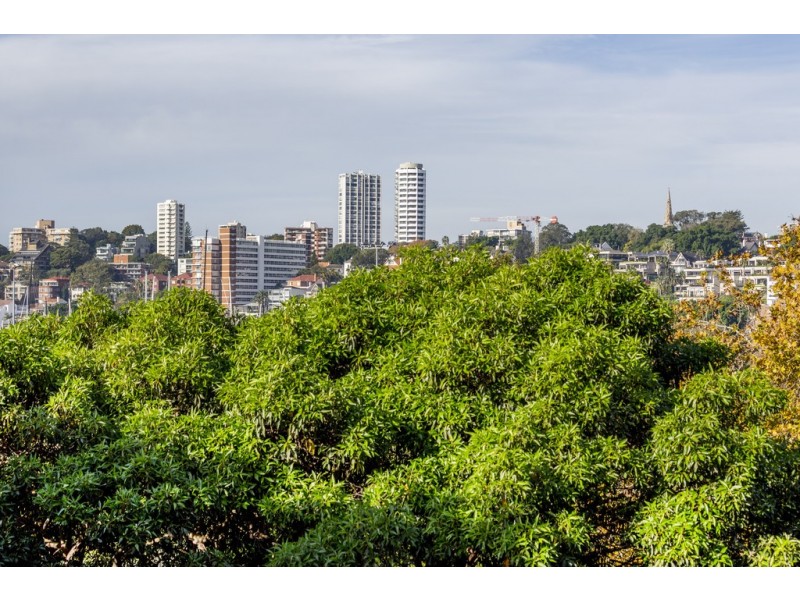 43/50 Roslyn Gardens, Elizabeth Bay NSW 2011