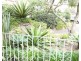 1/8 Wylde Street, Potts Point NSW 2011