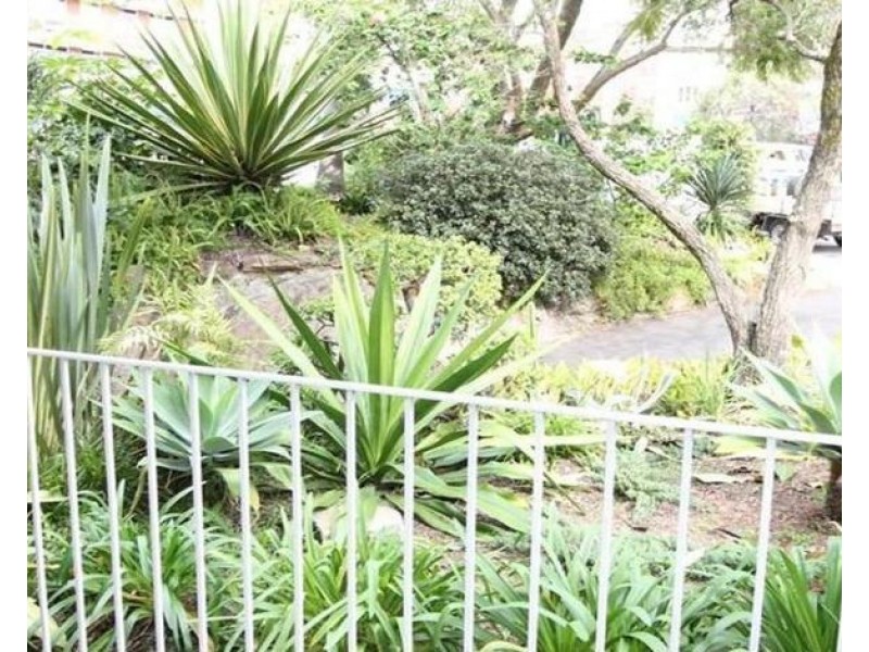 1/8 Wylde Street, Potts Point NSW 2011