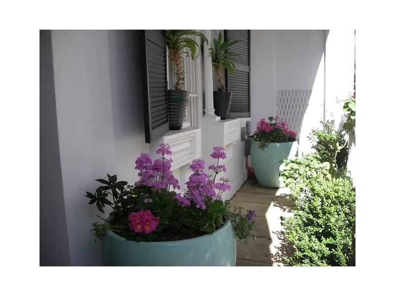 24 Rosebank Street, Darlinghurst NSW 2010