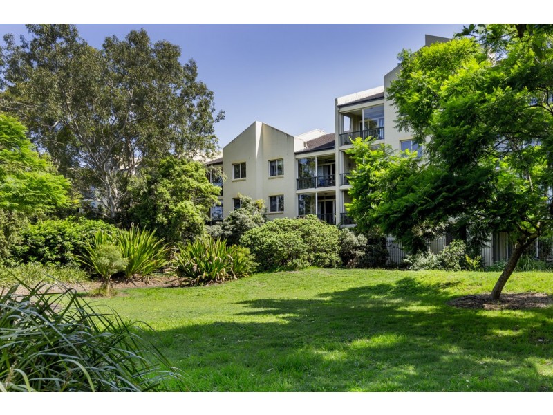 17/42 Lombard Street, Glebe NSW 2037