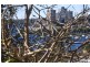 301/40 Macleay Street, Potts Point NSW 2011