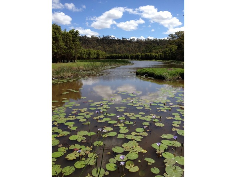 411-469 Smallwood Rd, Glenorie NSW 2157