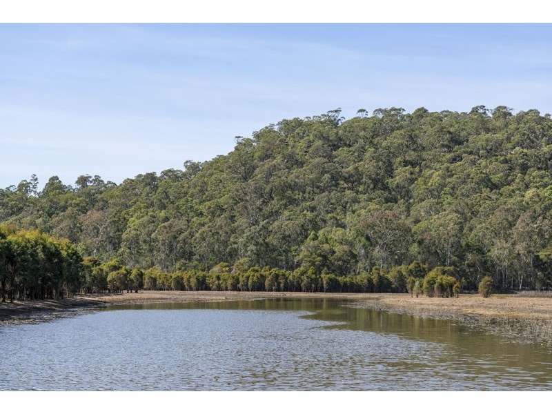 411-469 Smallwood Rd, Glenorie NSW 2157