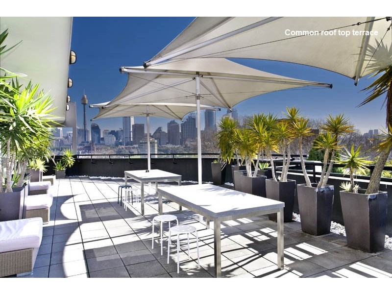 115/15 Springfield Avenue, Potts Point NSW 2011