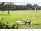 103 Stannix Park Lane, Wilberforce (via Windsor), Wilberforce NSW 2756