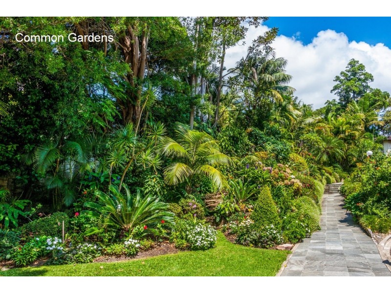 102/95 Elizabeth Bay Road, Elizabeth Bay NSW 2011